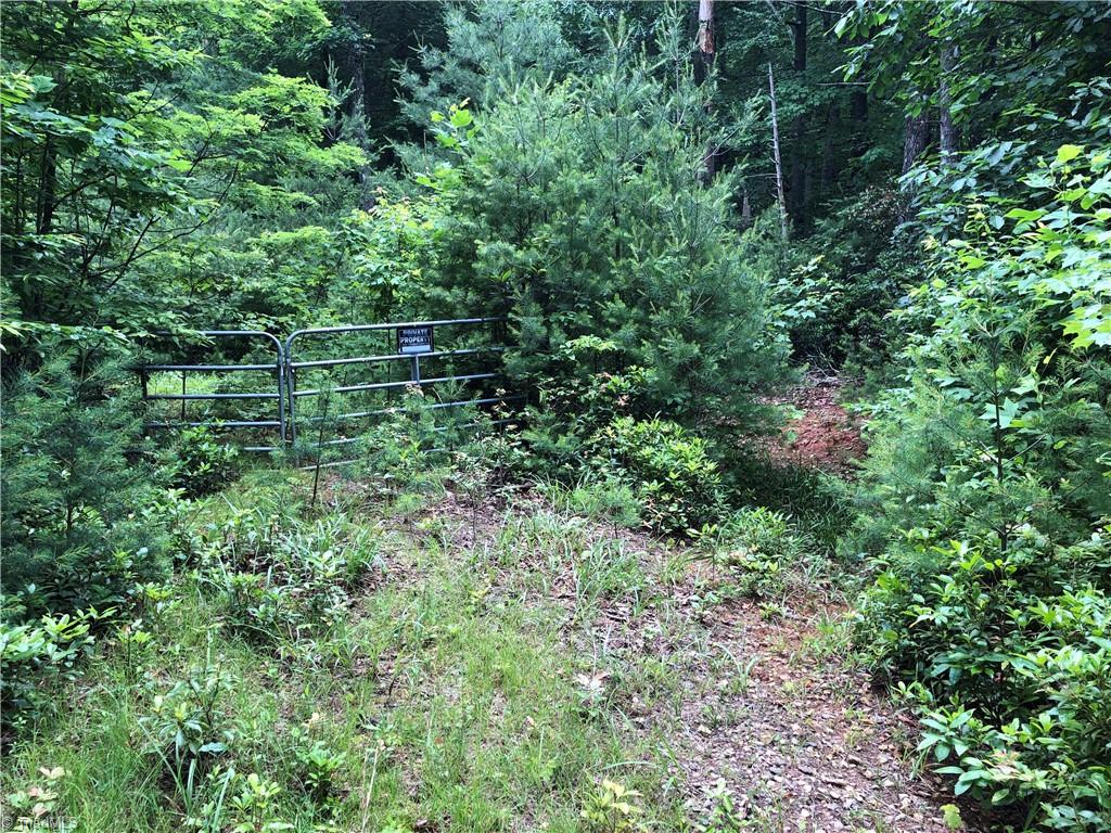 Lot 126 Pepper Bush Road Purlear, NC 28665 - Photo 5 of 28 Walk to the right of the gate to get around the gate. Continue on the path past the gate. Lot 126 will be on the left when you arrive at the real estate sign.