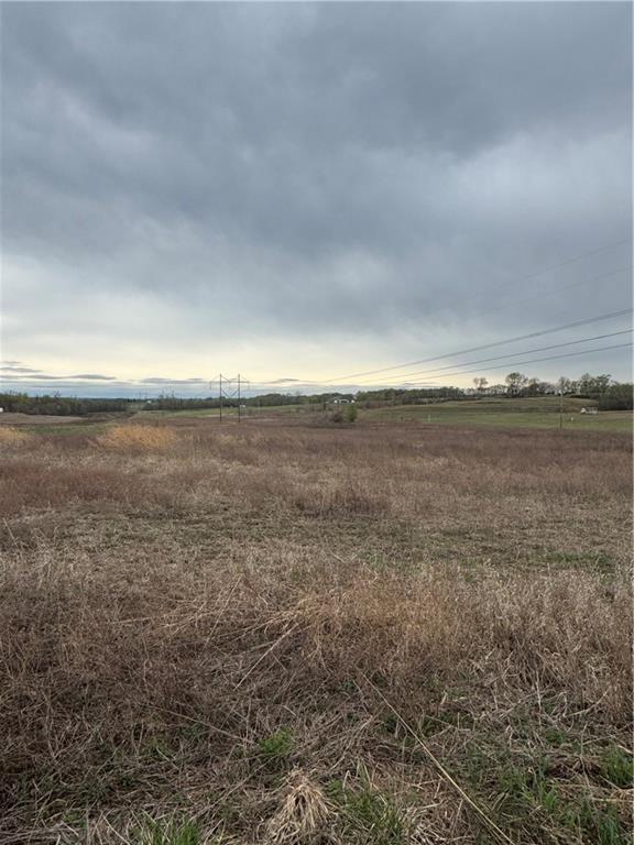 35407 East Little Road Buckner, MO 64016 - Photo 4 of 6