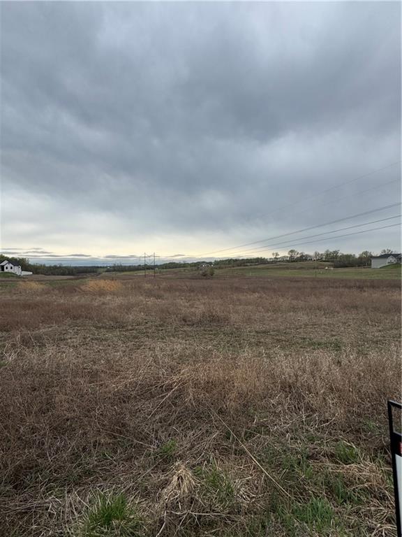 35407 East Little Road Buckner, MO 64016 - Photo 5 of 6