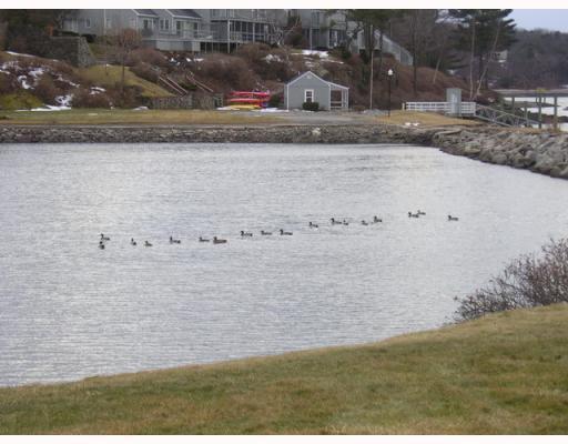 19 Stage Neck Road, Unit 1 York, ME 03909 - Photo 23 of 24 Other. Wildlife on the pond between...
