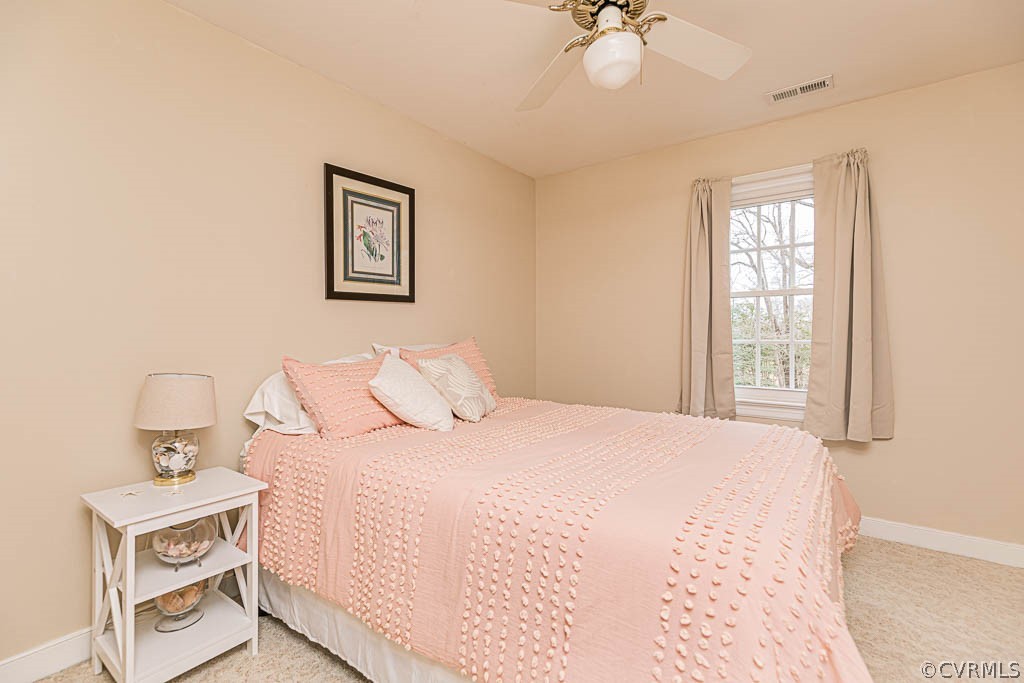 9120 Stumpy Road Ashland, VA 23005 - Photo 22 of 42