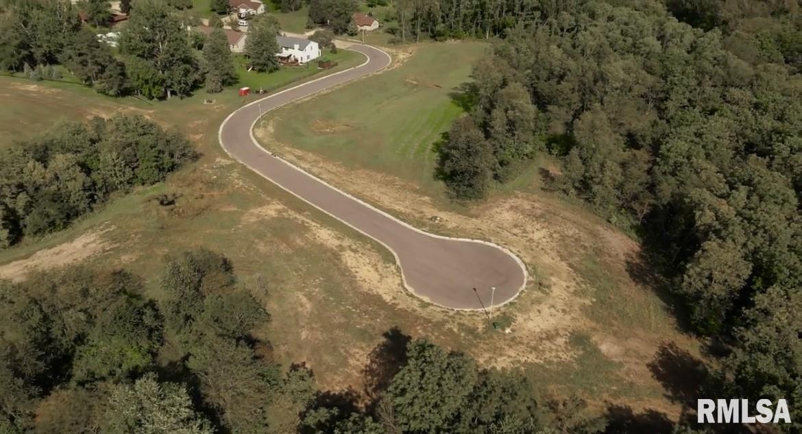 318 Silver Creek Road De Witt, IA 52742 - Photo 4 of 7 a view of outdoor space and yard