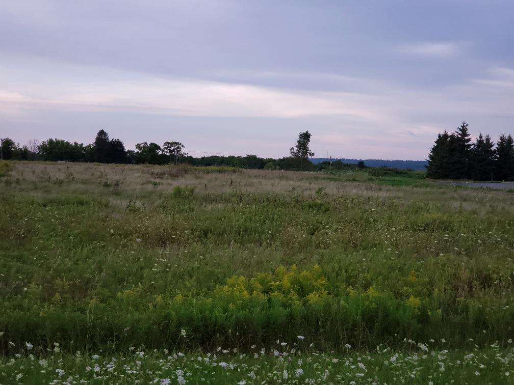 Lot 3 Barrick Road Sturgeon Bay, WI 54235 - Photo 4 of 9