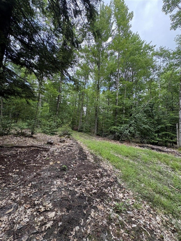 5 5 Mile Road Howard City, MI 49329 - Photo 74 of 99 Gallery Image 74