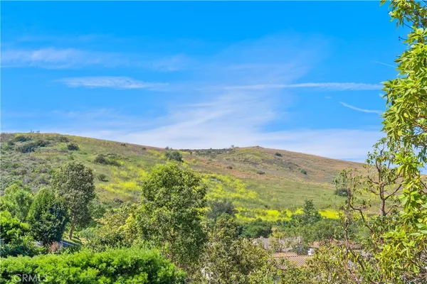 $3,688,000 | 115 Bottlebrush, Irvine, CA 92603