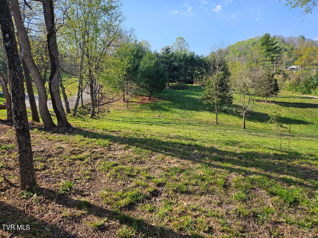 1881 Norris Road, Unit 6 Butler, TN 37640 - Photo 17 of 17 17