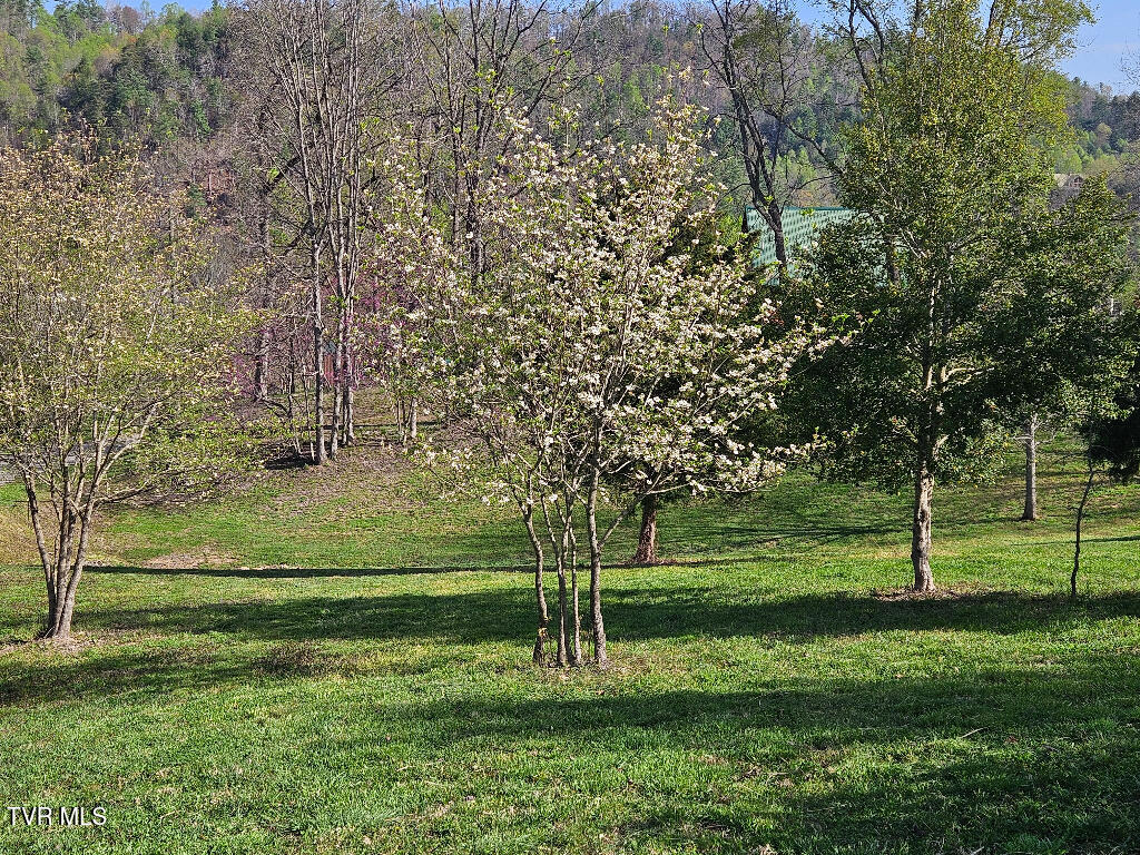 1881 Norris Road, Unit 6 Butler, TN 37640 - Photo 5 of 17 04