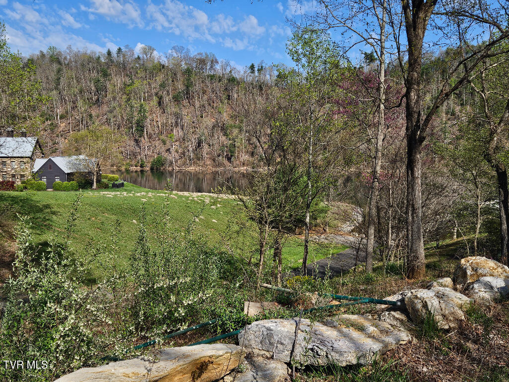 1881 Norris Road, Unit 6 Butler, TN 37640 - Photo 7 of 17 07