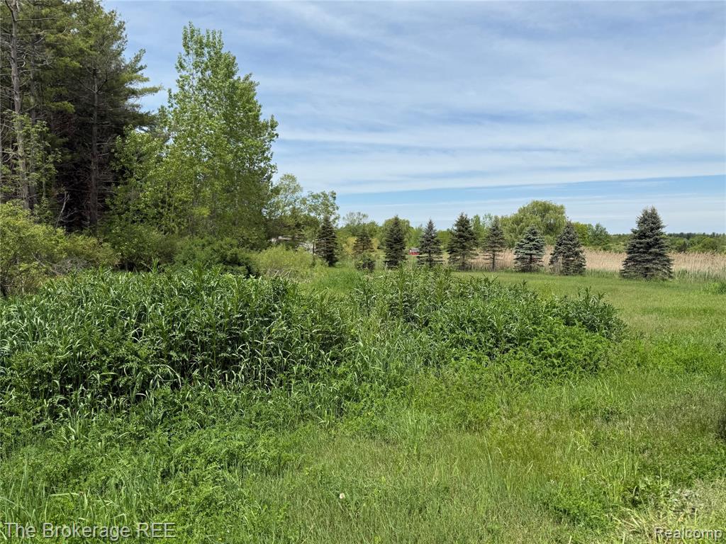 3020 Merwin Road Lapeer, MI 48446 - Photo 29 of 33