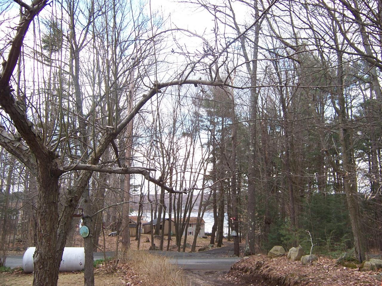 500 Pine Road Otis, MA 01029 - Photo 1 of 10 a backyard of a house with large trees and wooden fence
