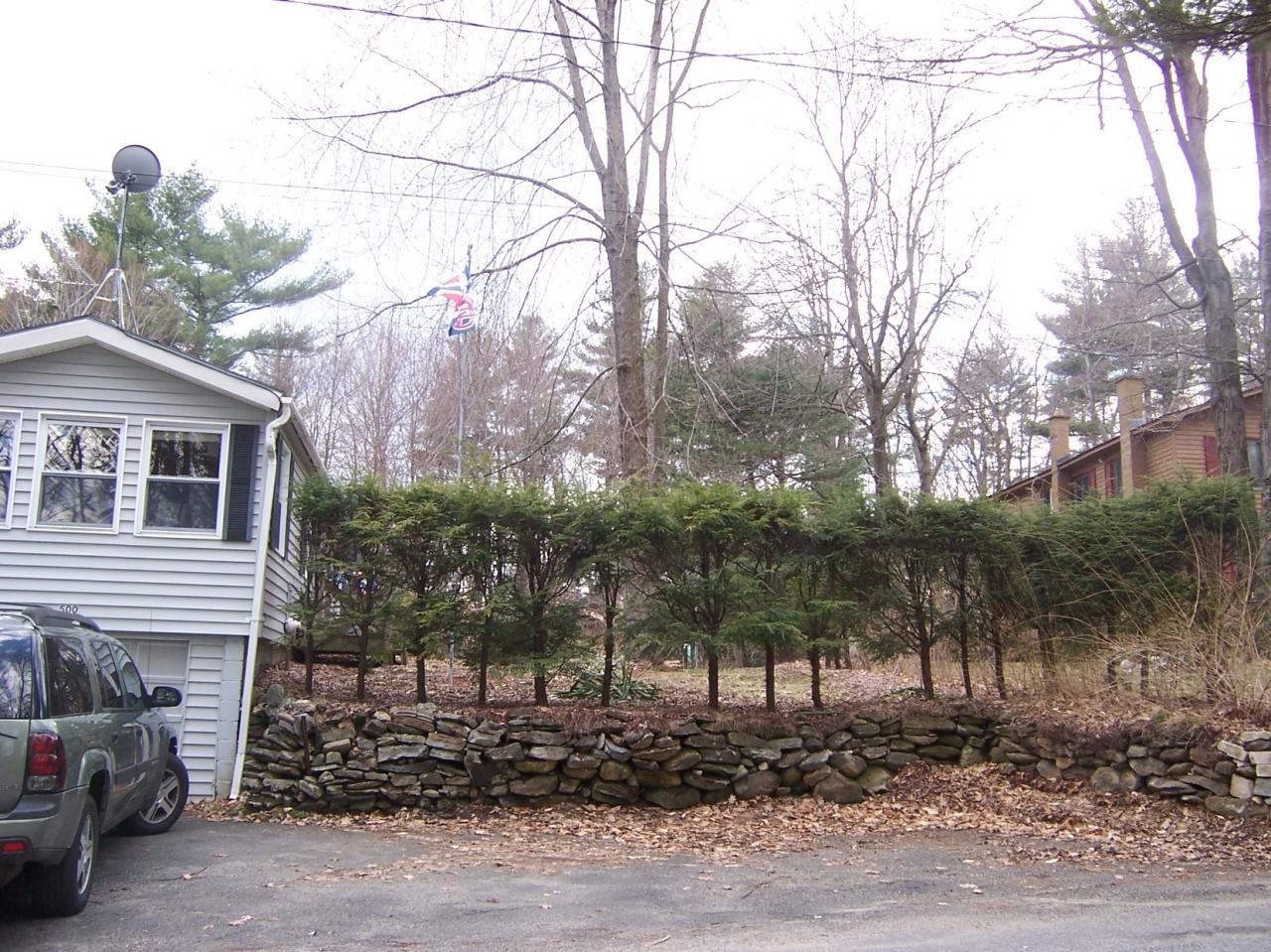 500 Pine Road Otis, MA 01029 - Photo 4 of 10 a view of a house with a yard