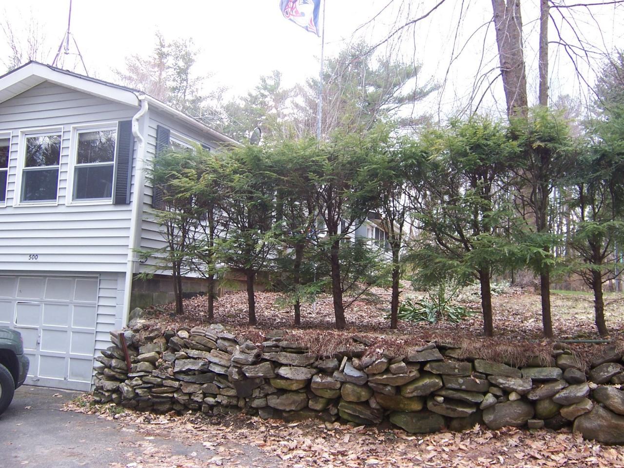 500 Pine Road Otis, MA 01029 - Photo 5 of 10 a picture of outdoor space with lots of trees