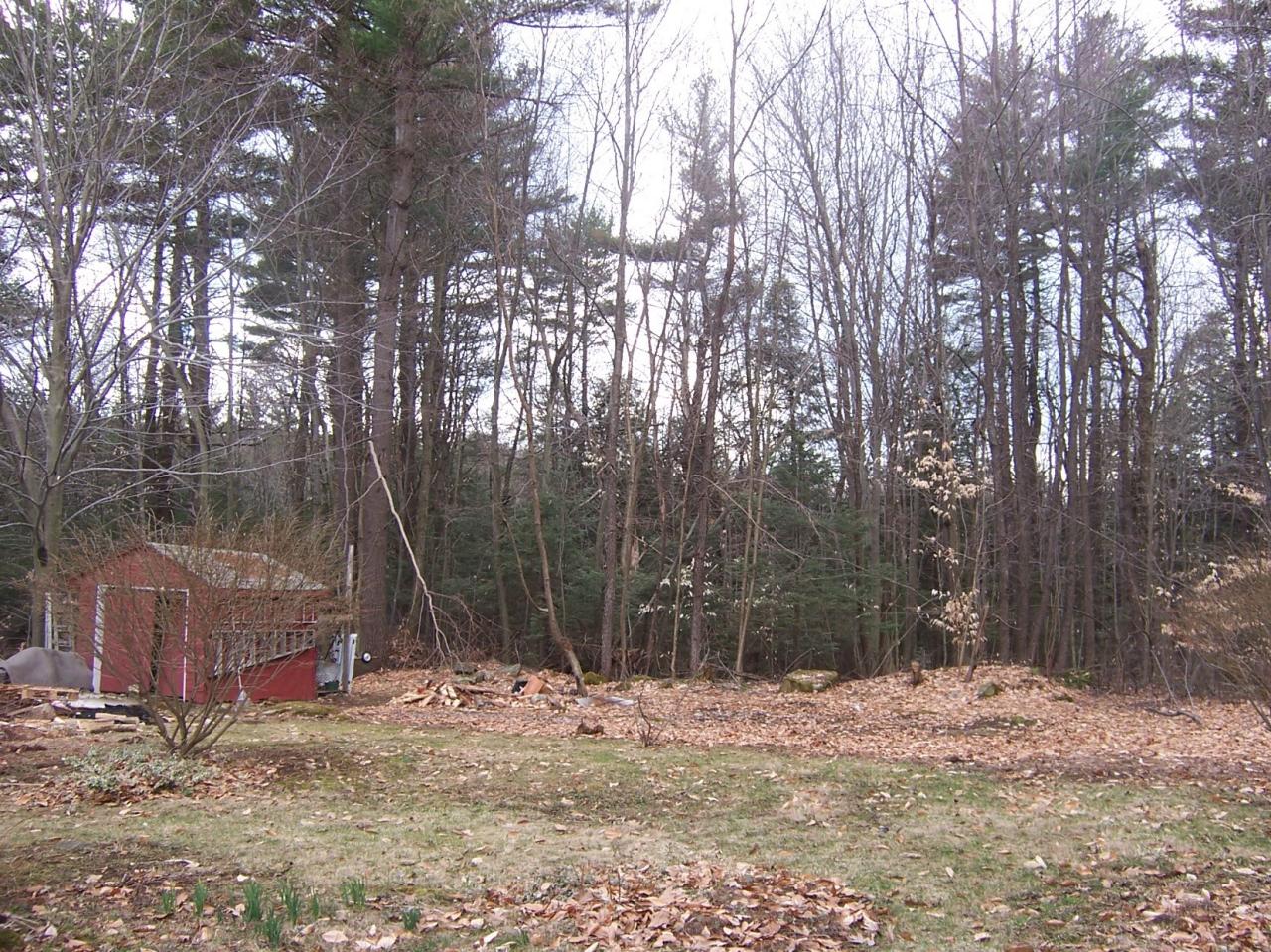 500 Pine Road Otis, MA 01029 - Photo 8 of 10 a backyard of a house with a trees