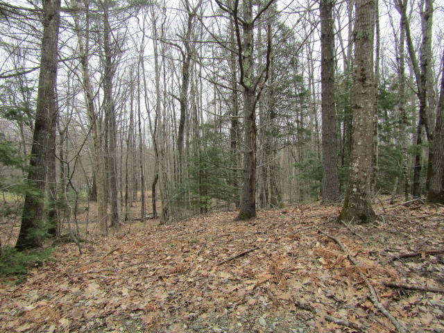 480 Ossipee Hill Road East Waterboro, ME 04030 - Photo 3 of 3 IMG_3624