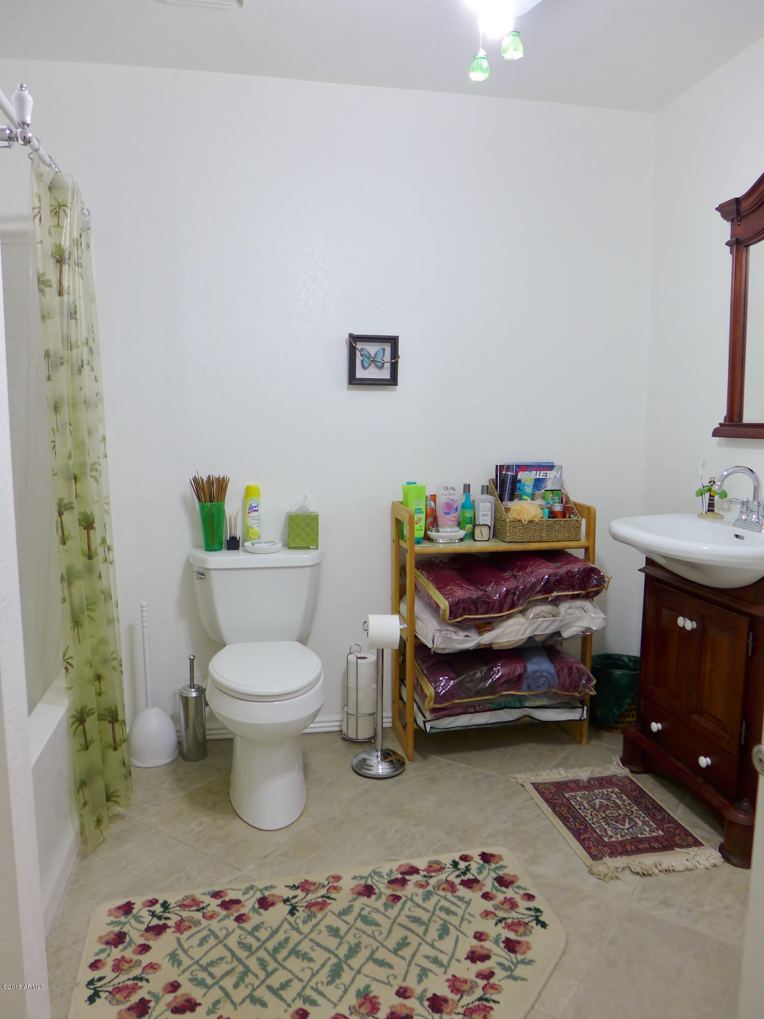 19007 West Roadrunner Road Wittmann, AZ 85361 - Photo 27 of 56 Jack and Jill bath 2
