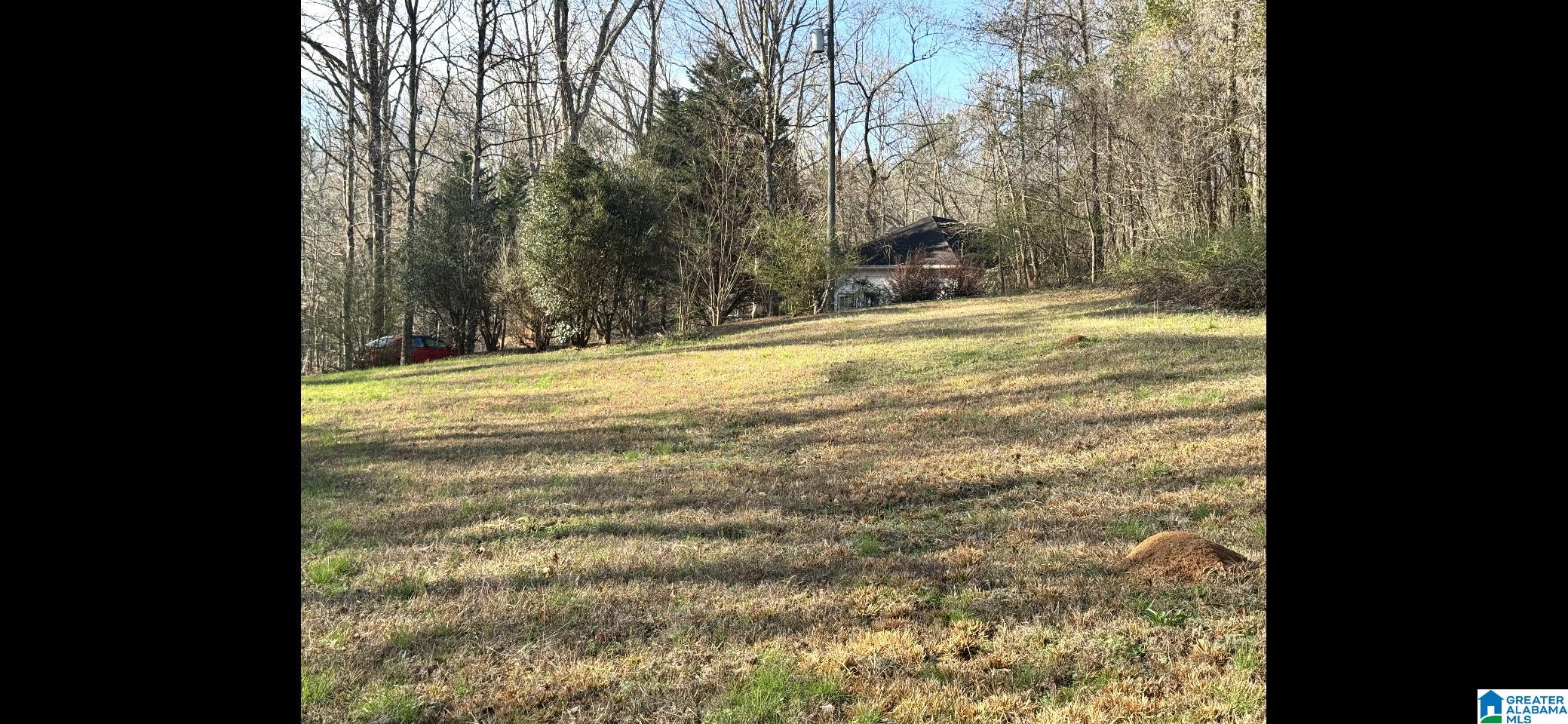 1020 Springhill Road Talladega, AL 35160 - Photo 7 of 40