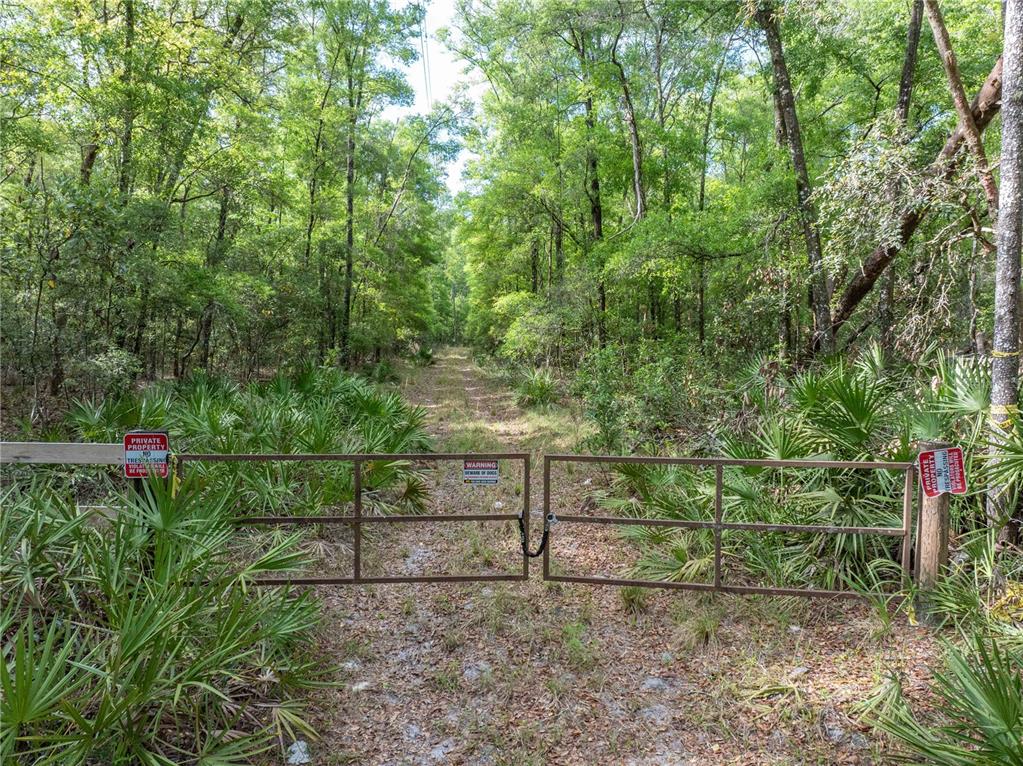 290 Southwest Rattlesnake Glen Fort White, FL 32038 - Photo 13 of 31 a view of a field