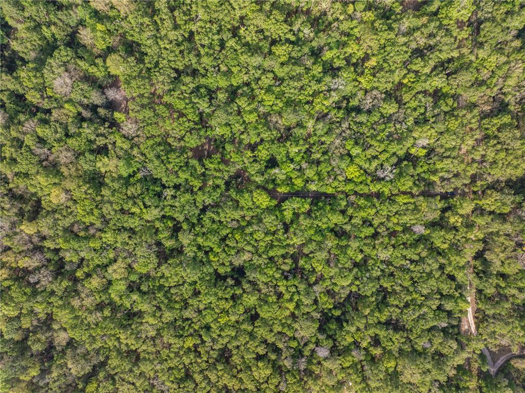 290 Southwest Rattlesnake Glen Fort White, FL 32038 - Photo 23 of 31 a view of a lush green field
