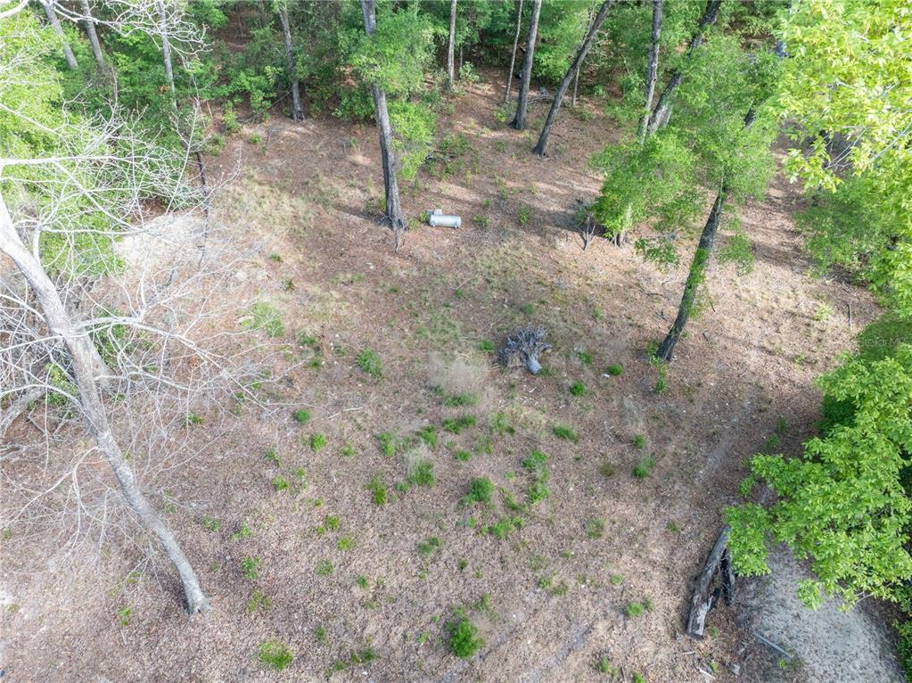 290 Southwest Rattlesnake Glen Fort White, FL 32038 - Photo 25 of 31 a view of a forest with trees