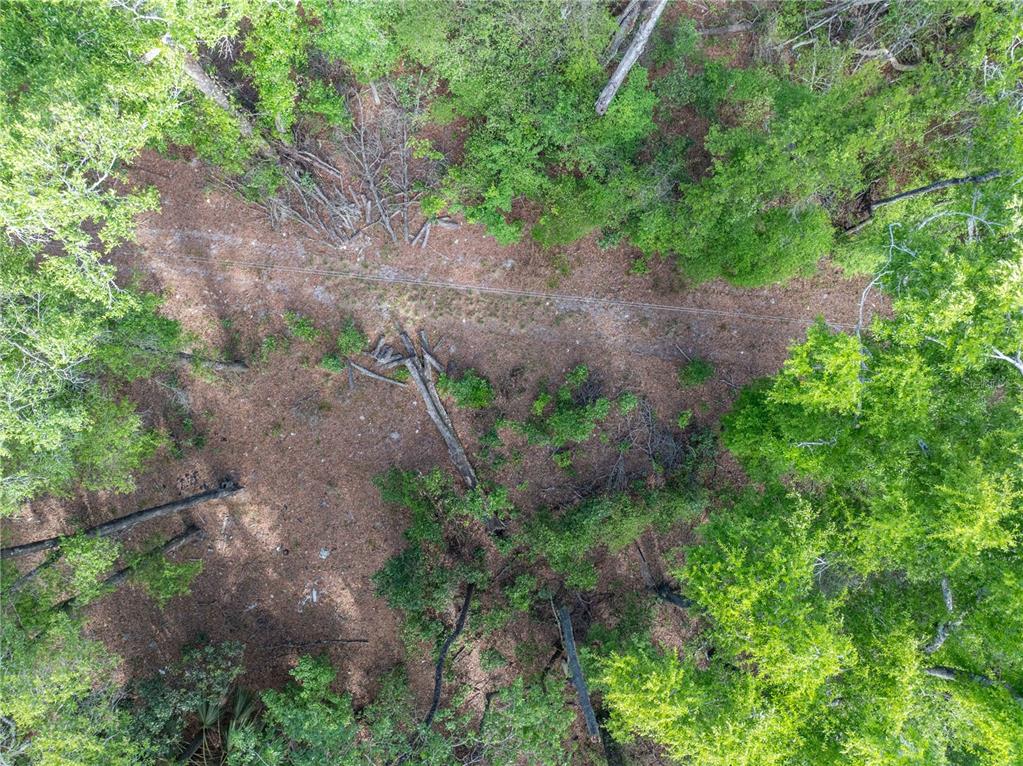 290 Southwest Rattlesnake Glen Fort White, FL 32038 - Photo 28 of 31 a view of a pathway both side of yard