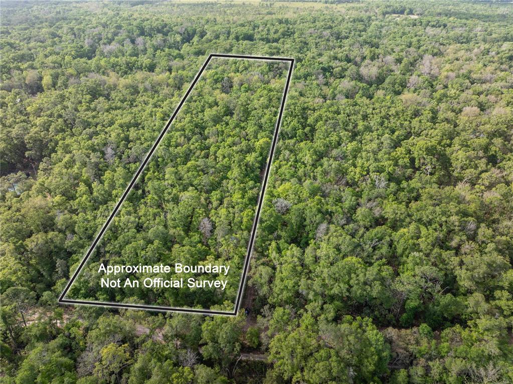 290 Southwest Rattlesnake Glen Fort White, FL 32038 - Photo 3 of 31 a view of a yard