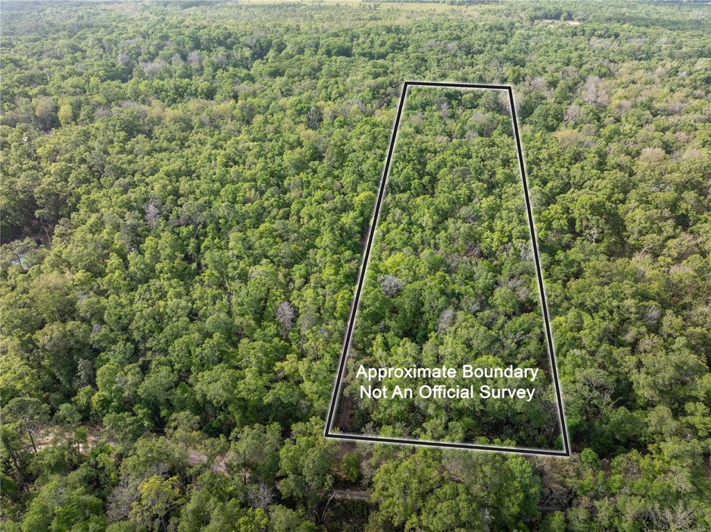 290 Southwest Rattlesnake Glen Fort White, FL 32038 - Photo 4 of 31 a view of a forest