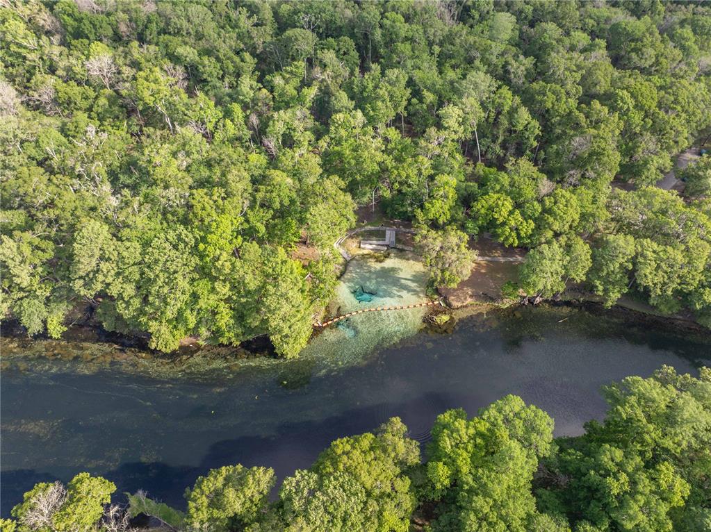 290 Southwest Rattlesnake Glen Fort White, FL 32038 - Photo 7 of 31 a view of a lake with a yard