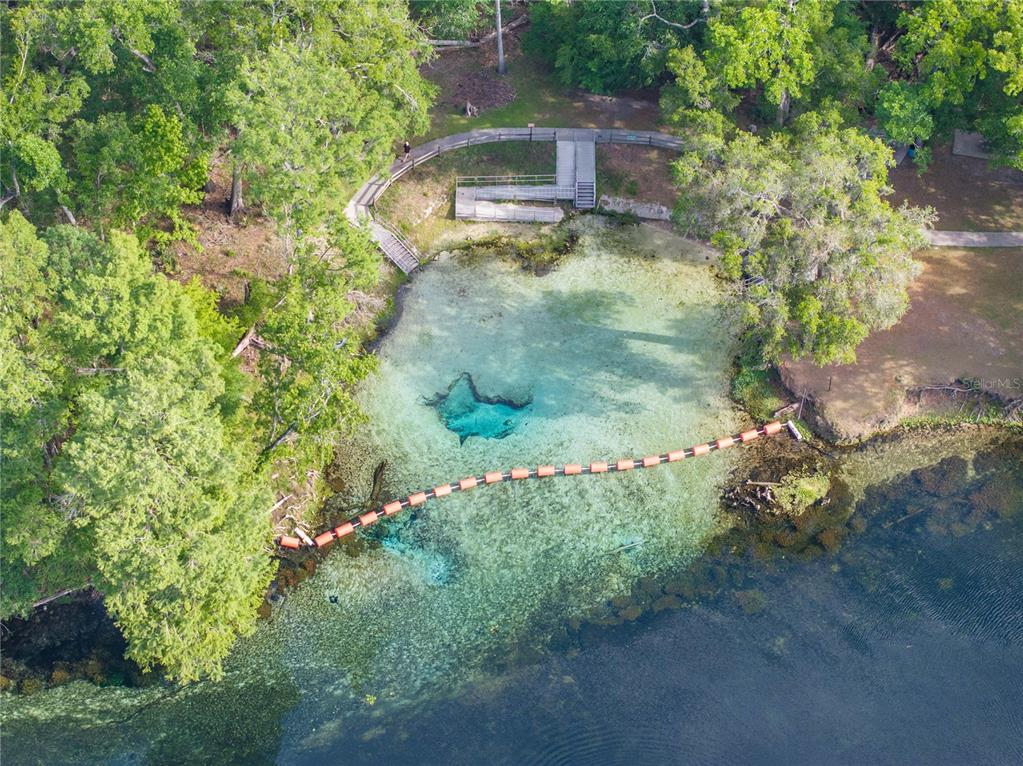 290 Southwest Rattlesnake Glen Fort White, FL 32038 - Photo 8 of 31 an aerial view of a house with a yard