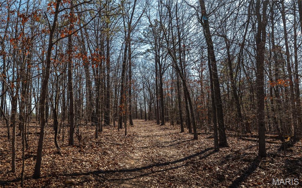 37801 State Highway Patton, MO 63662 - Photo 43 of 54