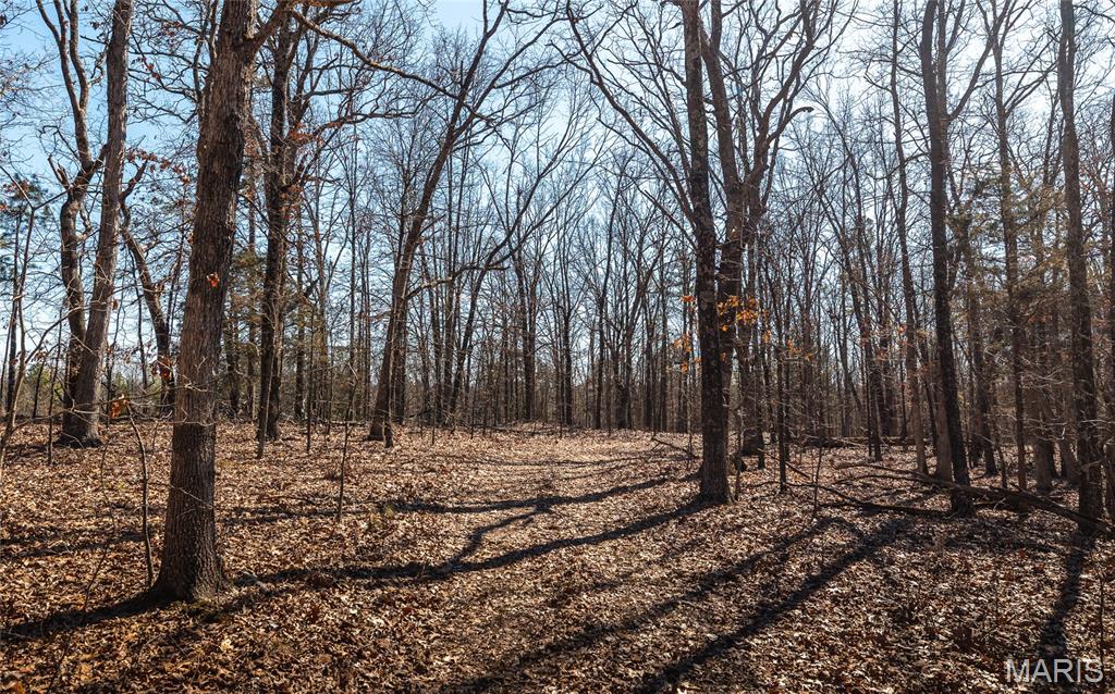 37801 State Highway Patton, MO 63662 - Photo 44 of 54