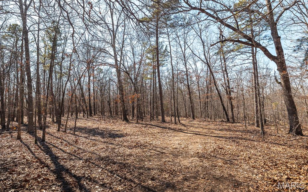 37801 State Highway Patton, MO 63662 - Photo 45 of 54