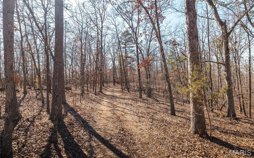 37801 State Highway Patton, MO 63662 - Photo 46 of 54