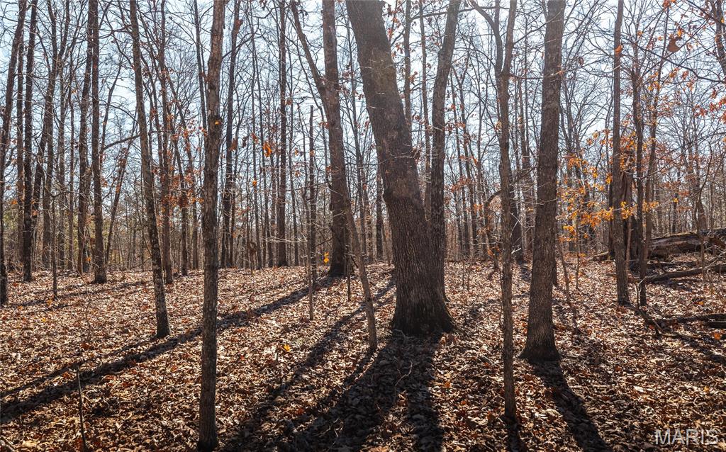 37801 State Highway Patton, MO 63662 - Photo 47 of 54