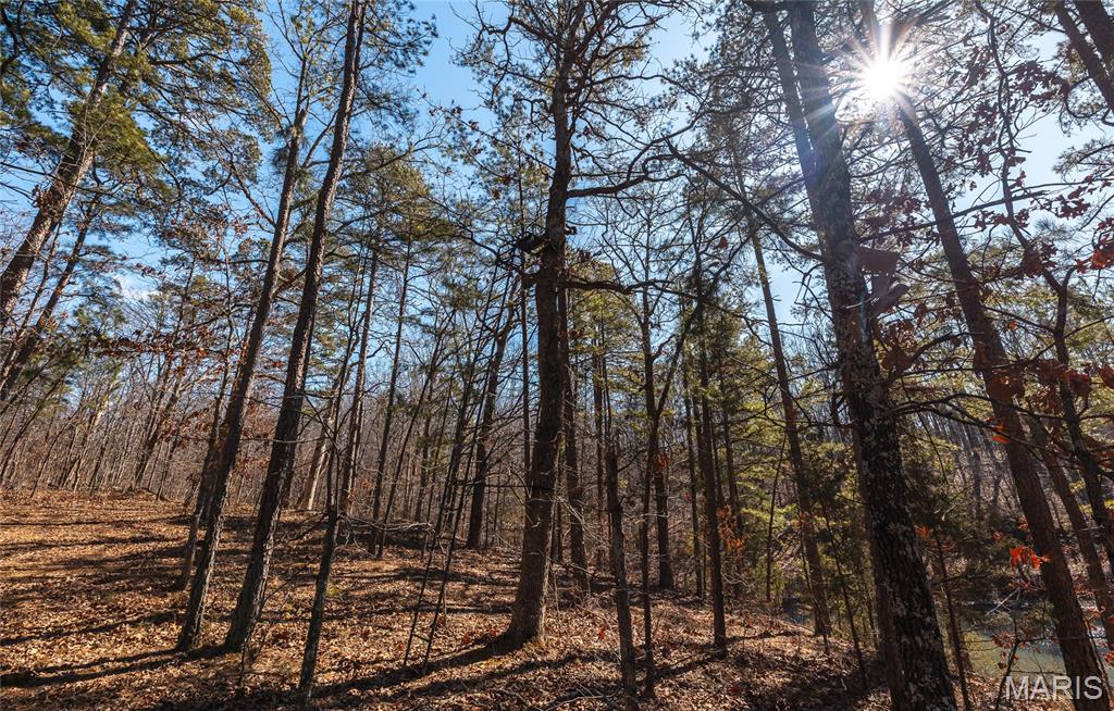 37801 State Highway Patton, MO 63662 - Photo 48 of 54