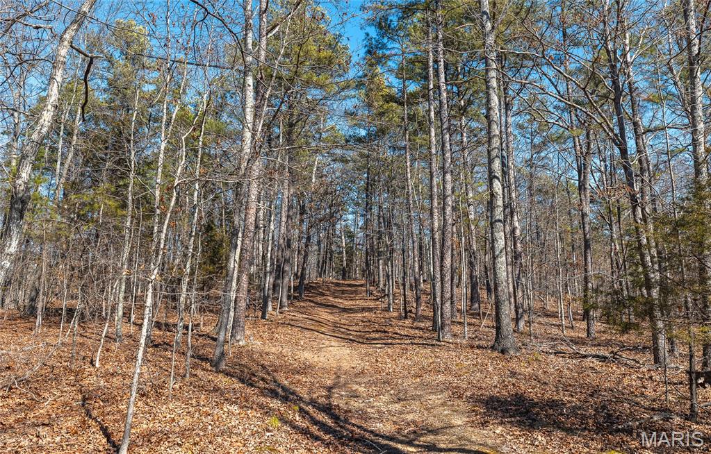 37801 State Highway Patton, MO 63662 - Photo 49 of 54