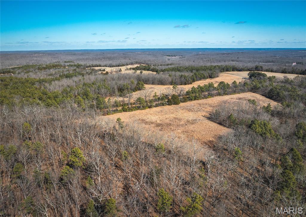 37801 State Highway Patton, MO 63662 - Photo 8 of 54