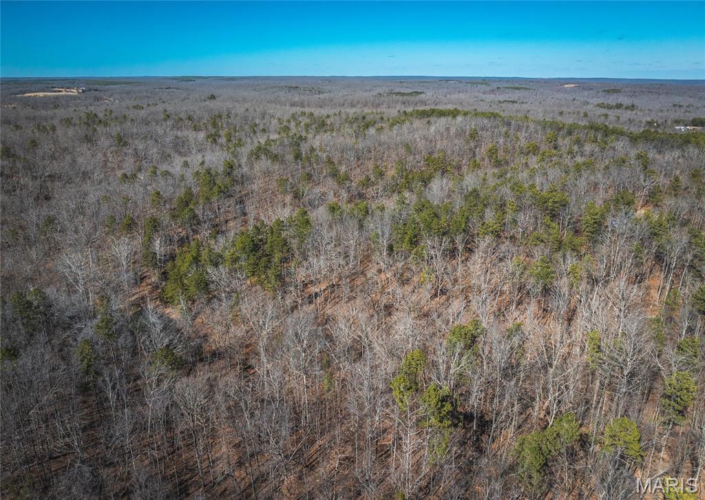 37801 State Highway Patton, MO 63662 - Photo 9 of 54