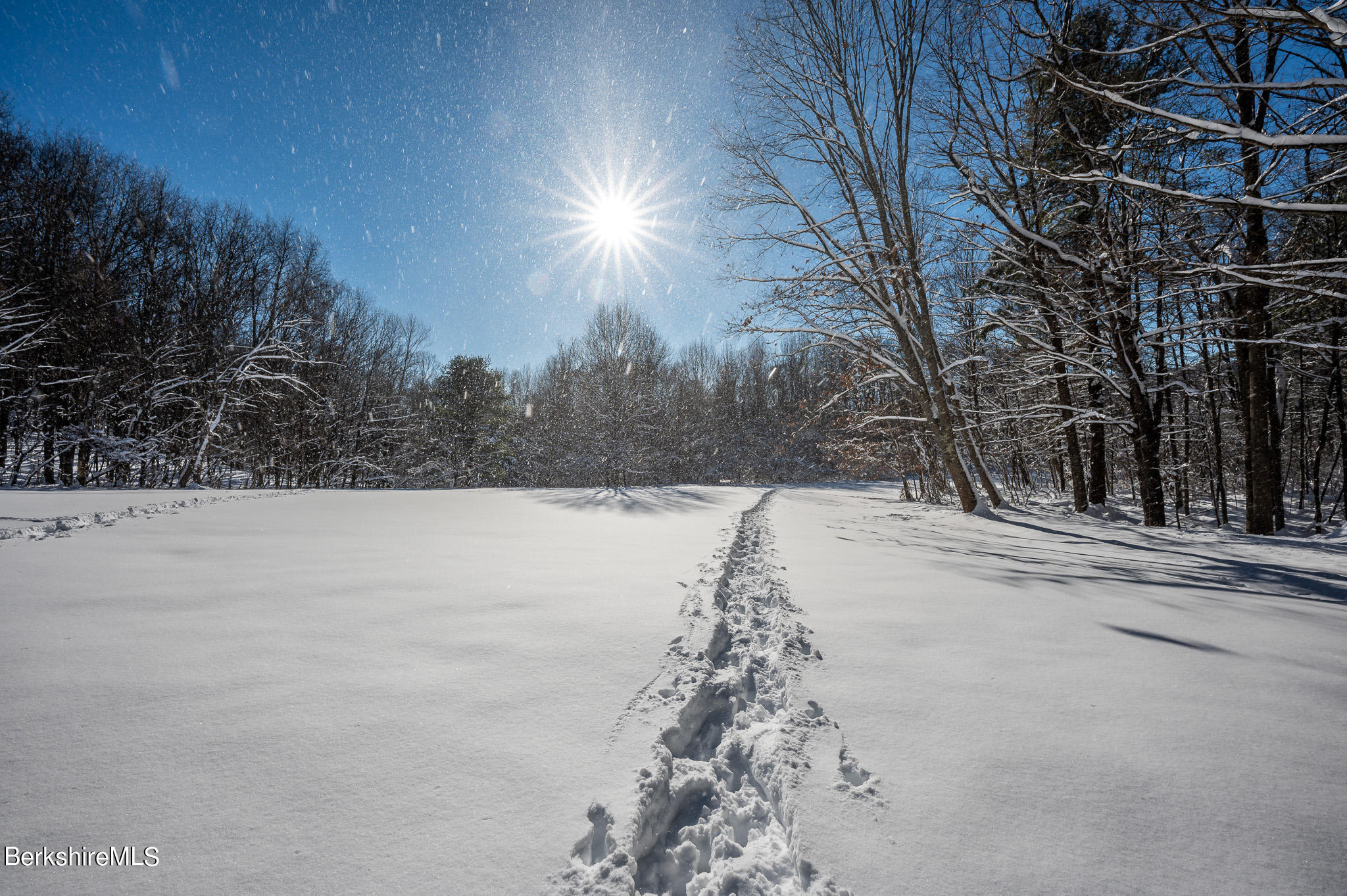 31 Stockbridge Road West Stockbridge, MA 01266 - Photo 3 of 46 Open Land