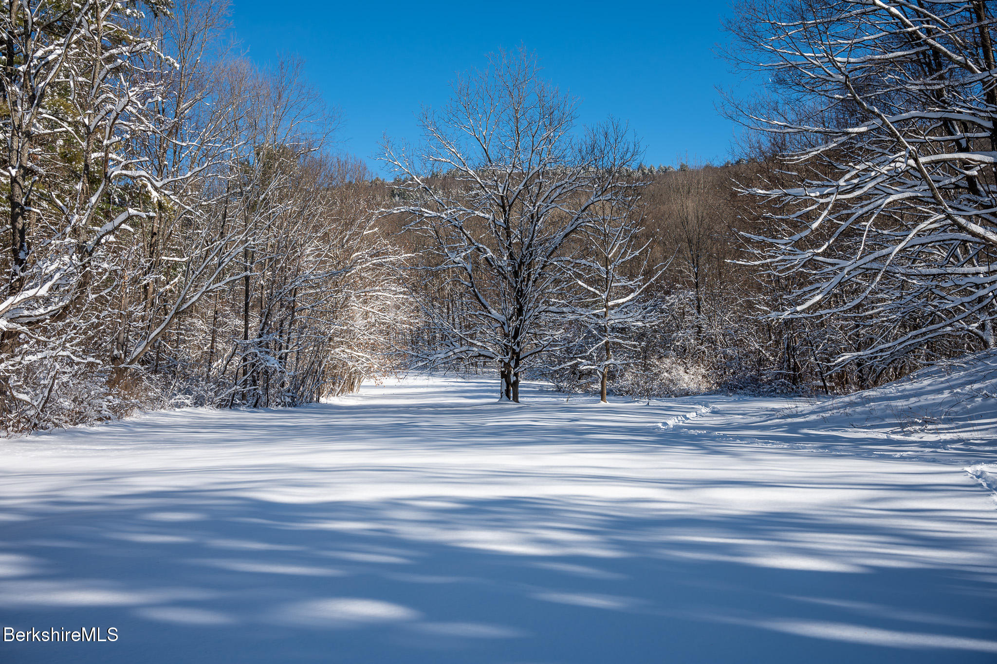 31 Stockbridge Road West Stockbridge, MA 01266 - Photo 4 of 46 Meadow