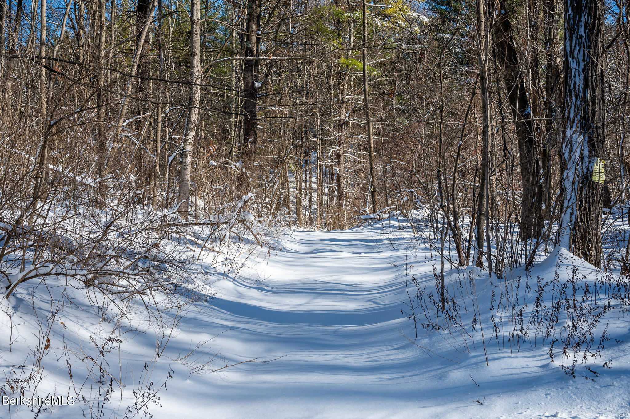 31 Stockbridge Road West Stockbridge, MA 01266 - Photo 35 of 46 Path into Woods