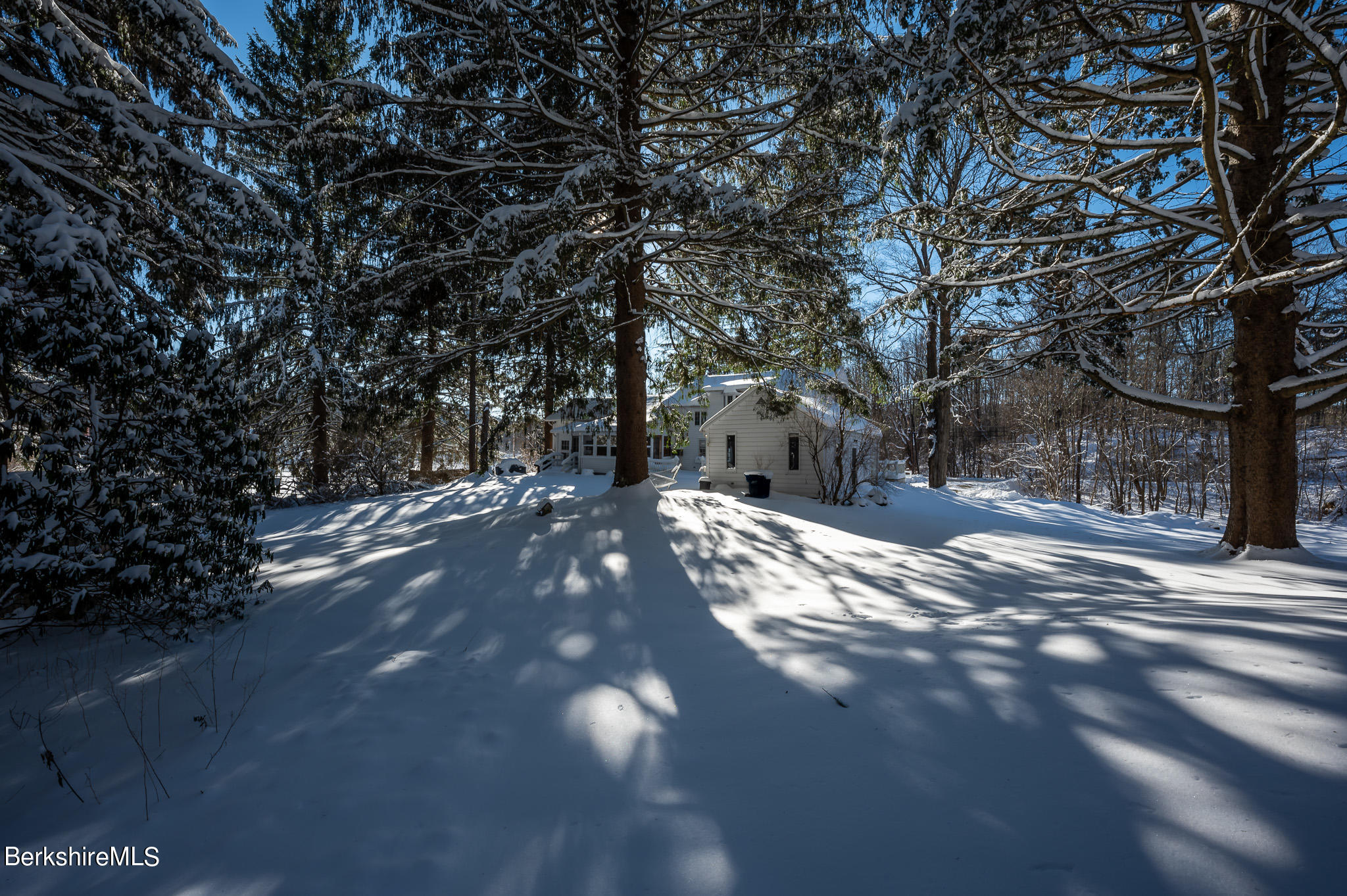 31 Stockbridge Road West Stockbridge, MA 01266 - Photo 39 of 46 Woods