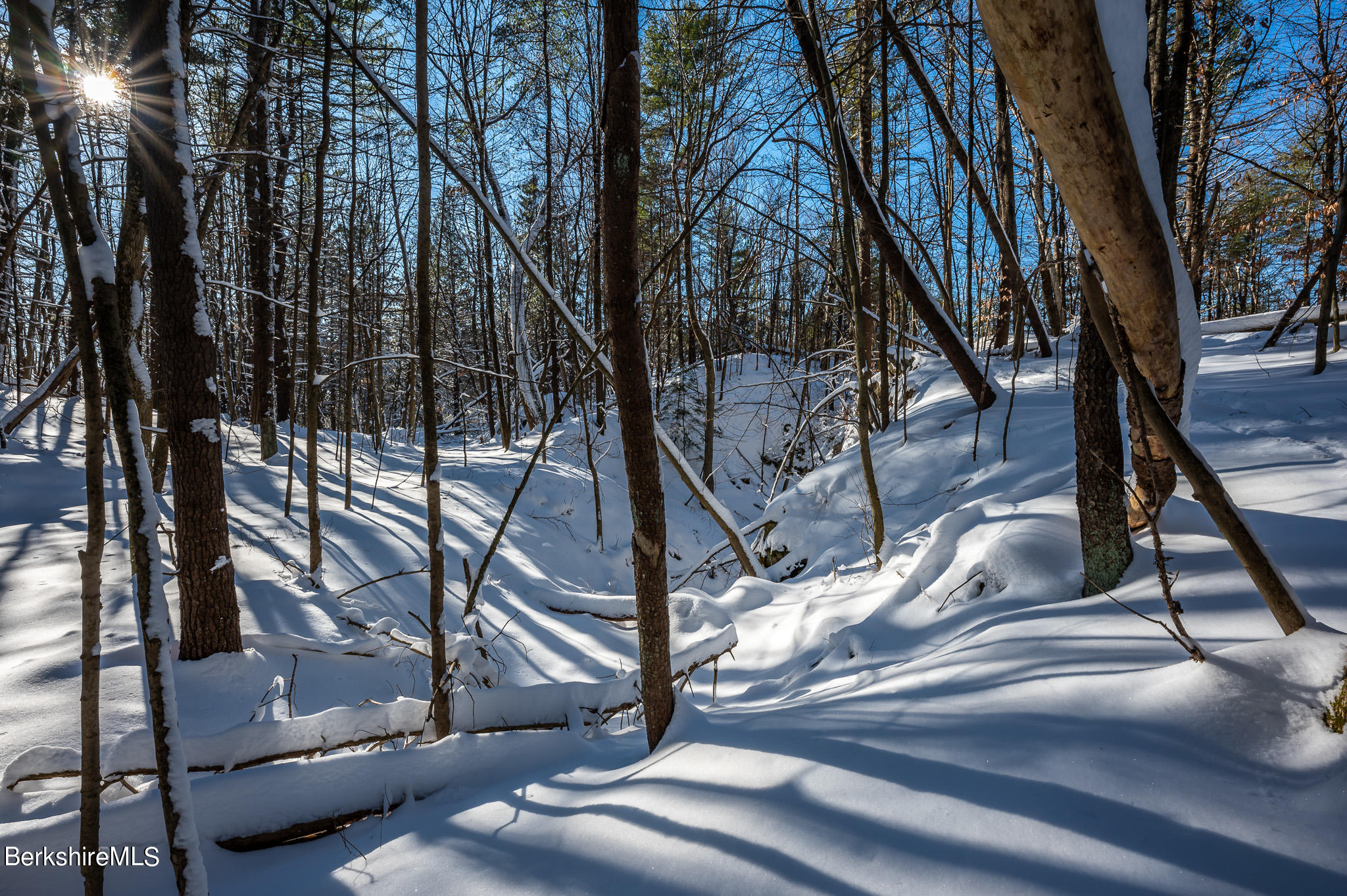 31 Stockbridge Road West Stockbridge, MA 01266 - Photo 40 of 46 Woods