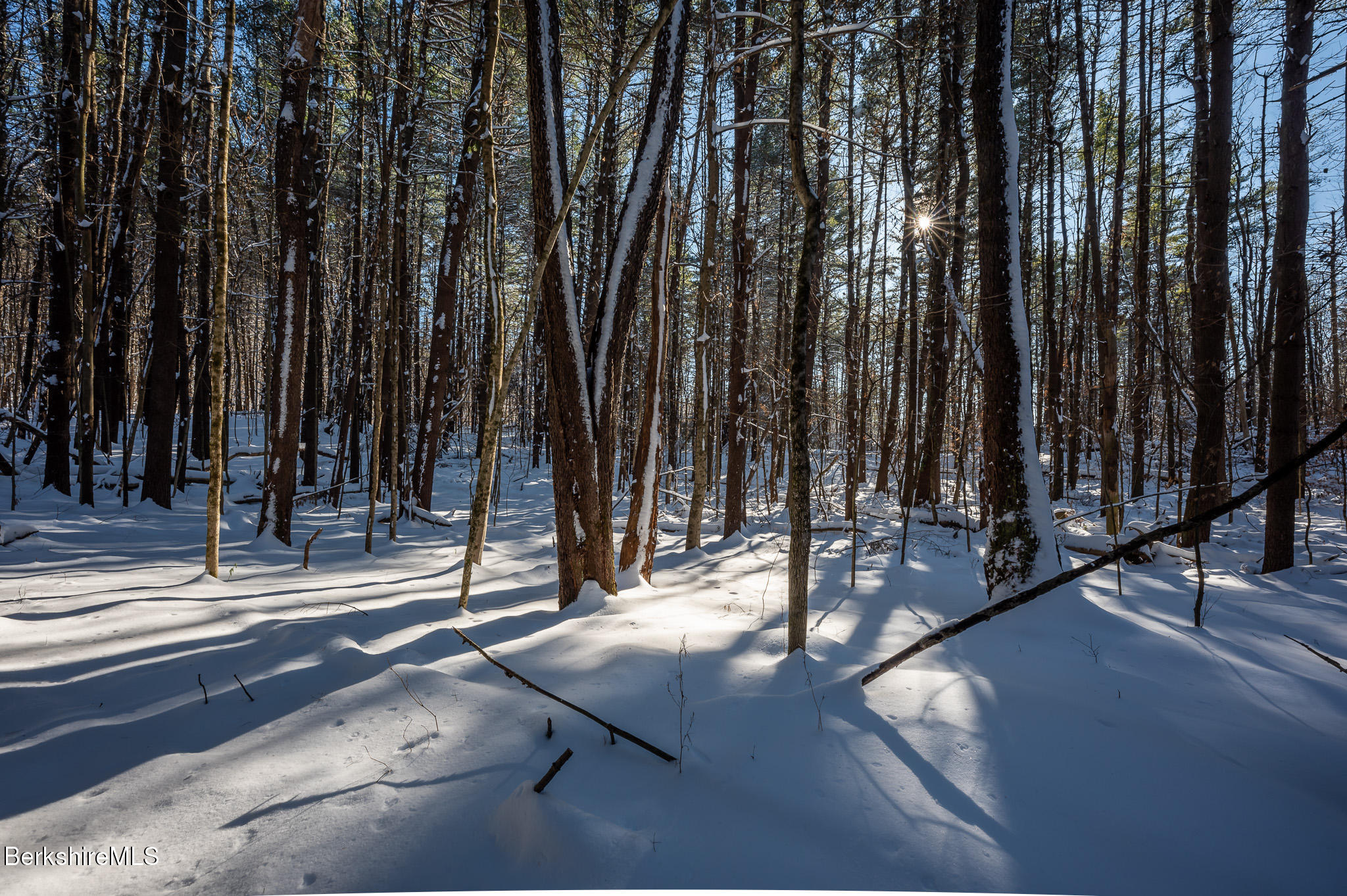 31 Stockbridge Road West Stockbridge, MA 01266 - Photo 41 of 46 Woods