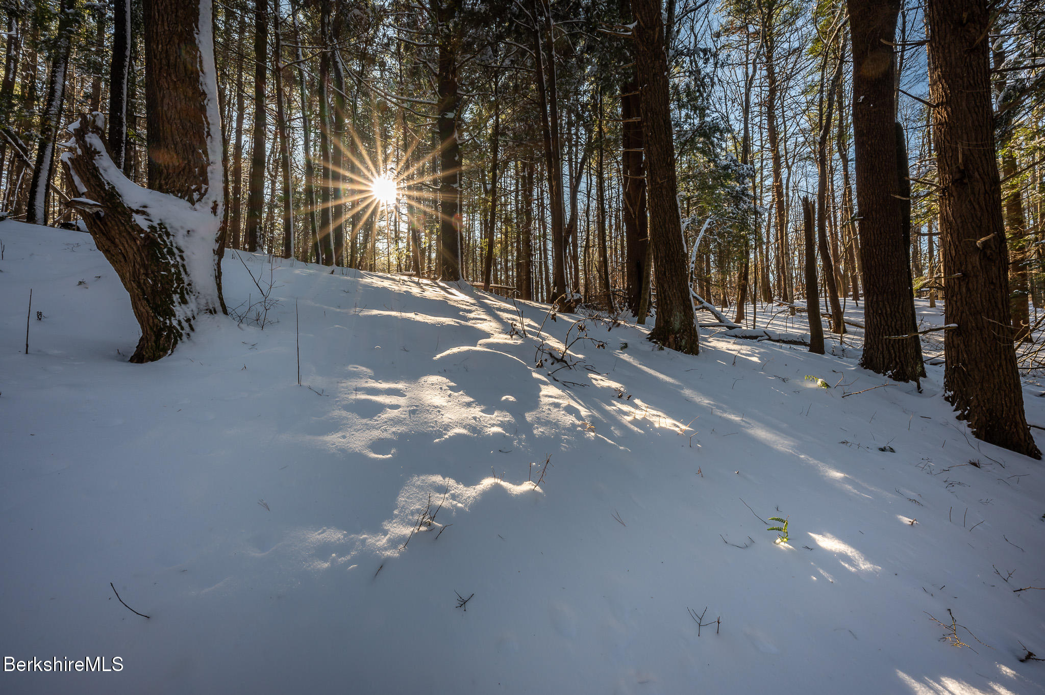 31 Stockbridge Road West Stockbridge, MA 01266 - Photo 10 of 46 Gorgeous Woods