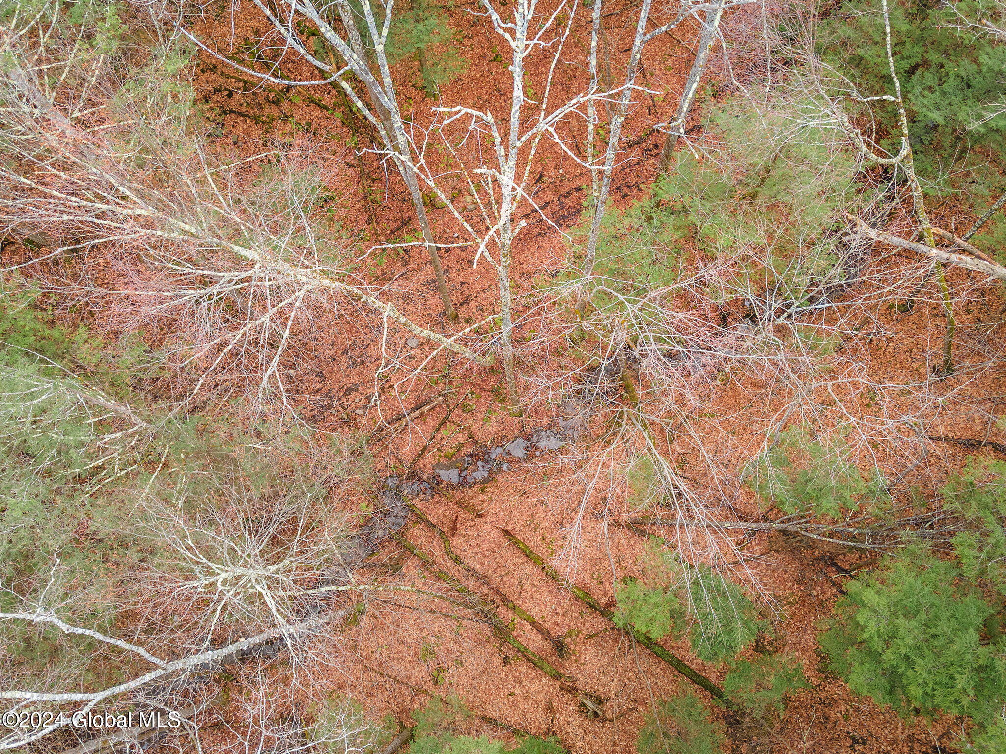 L18.1 L18.1 Engle Road Schoharie, NY 12157 - Photo 12 of 14 13-00RalphEngleRd_13
