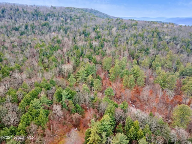 $199,900 | L18.1 L18.1 Engle Road, Schoharie, NY 12157