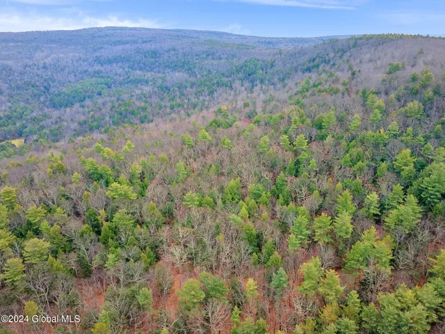 $199,900 | L18.1 L18.1 Engle Road, Schoharie, NY 12157