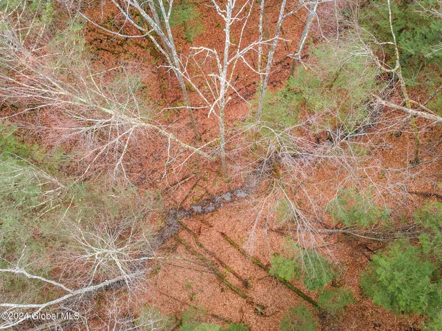 $199,900 | L18.1 L18.1 Engle Road, Schoharie, NY 12157