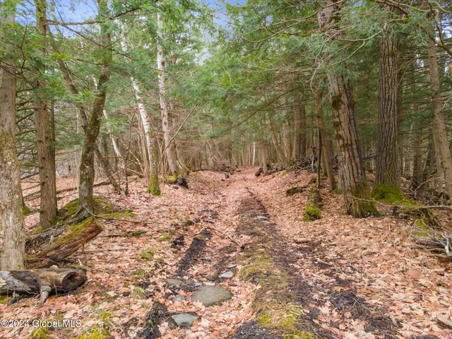 $199,900 | L18.1 L18.1 Engle Road, Schoharie, NY 12157