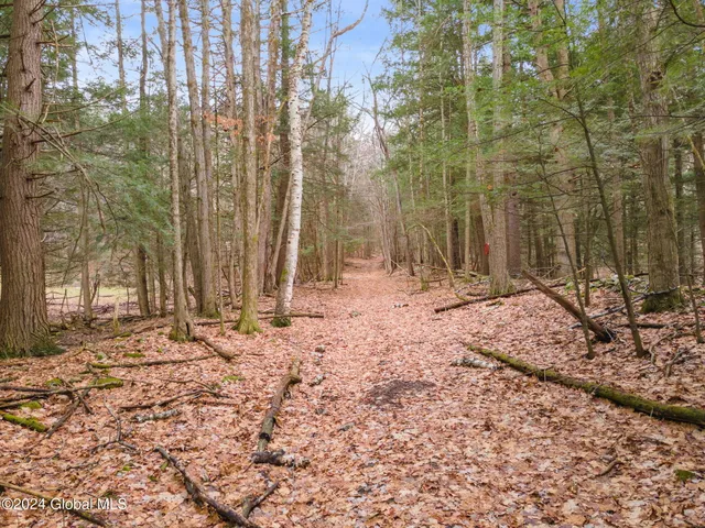$199,900 | L18.1 L18.1 Engle Road, Schoharie, NY 12157